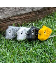 Dorsal Fish Poppers & Toffie – Irresistible Action & Scent for Topwater Strikes Dorsal Fish Poppers & Toffie – Irresistible Action & Scent for Topwater Strikes