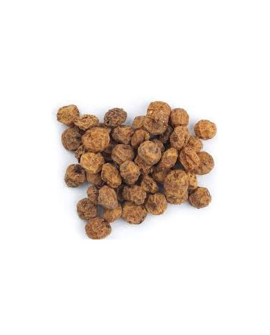 Tiger Nuts for Fishing – Natural, Nutritious & Irresistible Bait Tiger Nuts for Fishing – Natural, Nutritious & Irresistible Bait