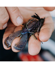 Rapala Crush City Cleanup Craw 3" – Soft Crawfish Bait for Bass & More