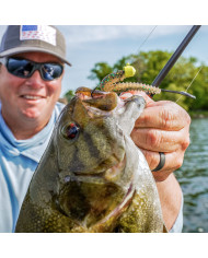 Rapala Crush City Ned BLT 3" – Finesse Soft Bait for Bass & Predators