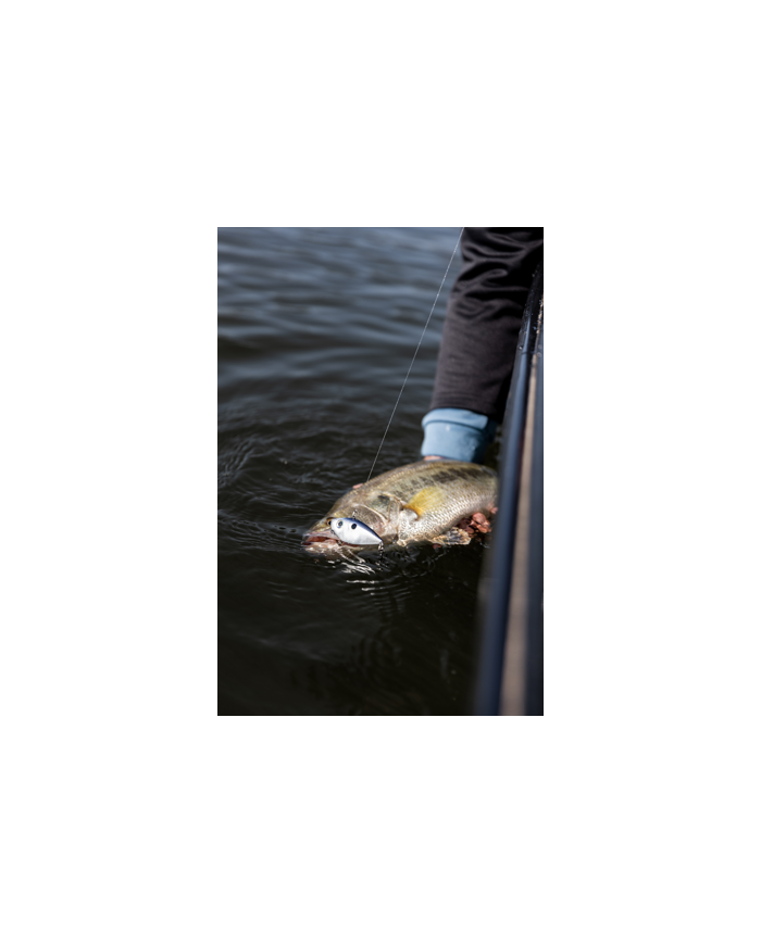 Strike King Red Eye Shad Lipless Crankbait | Versatile Fishing Lure