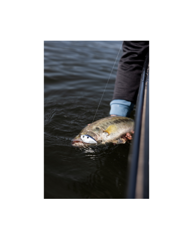 Strike King Red Eye Shad Lipless Crankbait | Versatile Fishing Lure Strike King Red Eye Shad Lipless Crankbait | Versatile Fishing Lure
