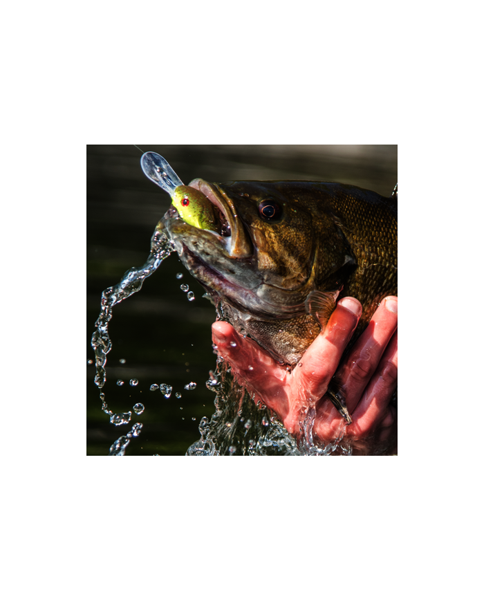 Strike King Pro Model XD3 Deep-Diving Crankbait | Best for Deep Water Fishing