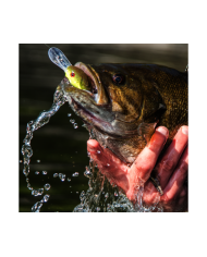 Strike King Pro Model XD3 Deep-Diving Crankbait | Best for Deep Water Fishing