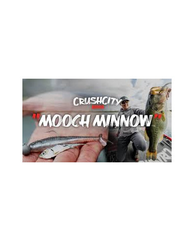 Crush City Mooch Minnow 3.5" | Lifelike Soft Plastic Fishing Bait Crush City Mooch Minnow 3.5" | Lifelike Soft Plastic Fishing Bait