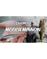 Crush City Mooch Minnow 3.5" | Lifelike Soft Plastic Fishing Bait