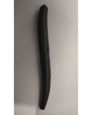 Itty's Secret Baits – Hand-Poured Perfection with a Deadly Secret