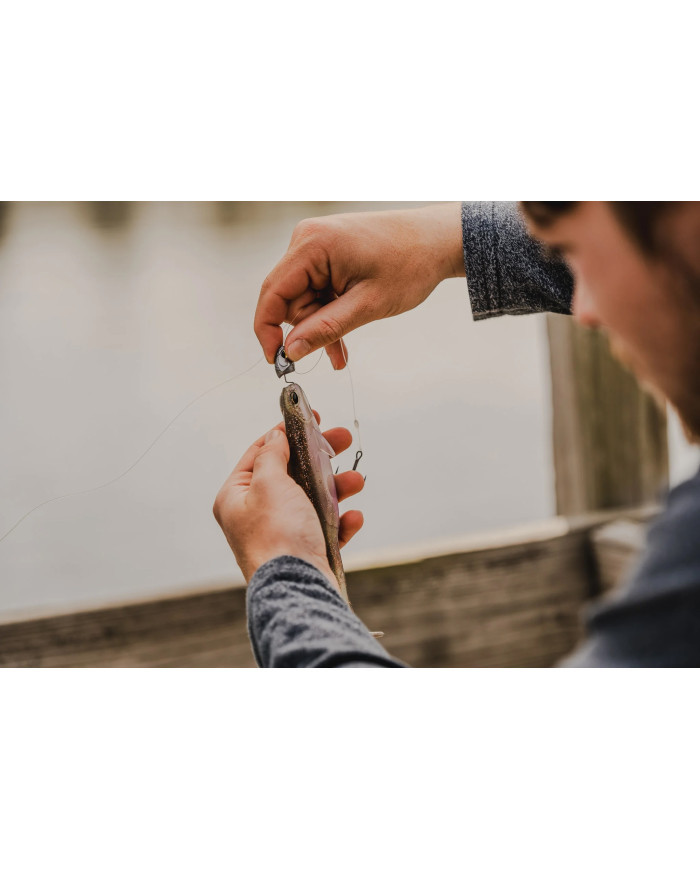 6th Sense Whale | Lifelike Soft Plastic Swimbait for Big Bites 6th Sense Whale | Lifelike Soft Plastic Swimbait for Big Bites