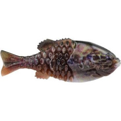 Berkley PowerBait Gilly 90mm - Lifelike Action for Bass & Pike Berkley PowerBait Gilly 90mm - Lifelike Action for Bass & Pike