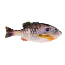 Berkley PowerBait Gilly 110mm - Lifelike Action for Big Bass & Pike Berkley PowerBait Gilly 110mm - Lifelike Action for Big Bass & Pike