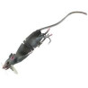 Savage Gear 3D Rad – Realistic Fishing Lure for Unbeatable Action