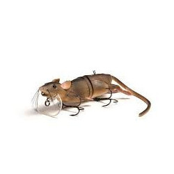 Savage Gear 3D Rad – Realistic Fishing Lure for Unbeatable Action Savage Gear 3D Rad – Realistic Fishing Lure for Unbeatable Action