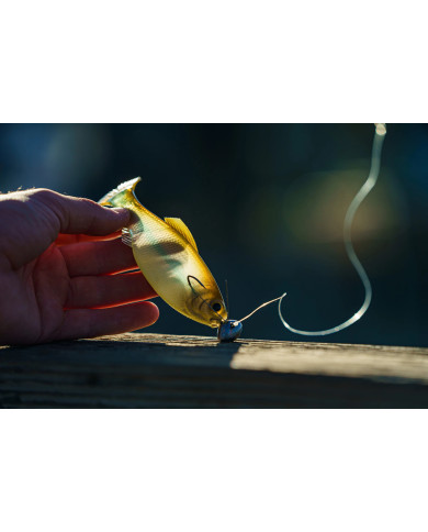 6th Sense Panorama – High-Definition Fishing Tool for Optimal Clarity 6th Sense Panorama – High-Definition Fishing Tool for Optimal Clarity