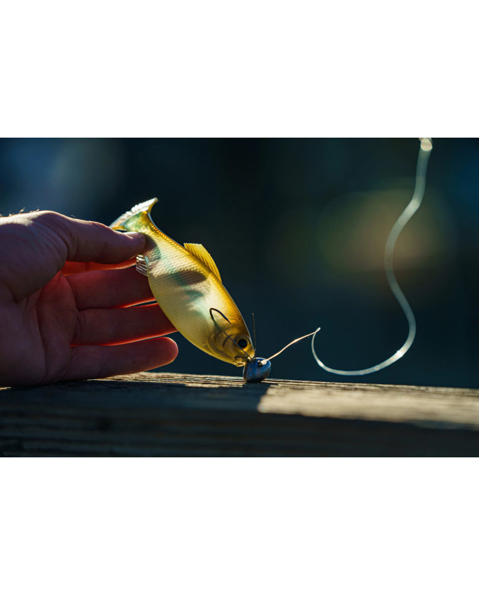 6th Sense Panorama – High-Definition Fishing Tool for Optimal Clarity