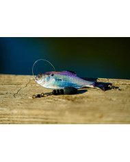 6th Sense Panorama – High-Definition Fishing Tool for Optimal Clarity