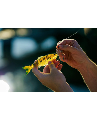 6th Sense Panorama – High-Definition Fishing Tool for Optimal Clarity 6th Sense Panorama – High-Definition Fishing Tool for Optimal Clarity