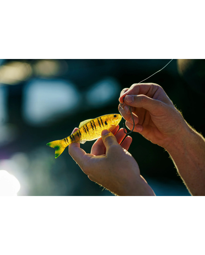 6th Sense Panorama – High-Definition Fishing Tool for Optimal Clarity