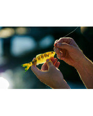 6th Sense Panorama – High-Definition Fishing Tool for Optimal Clarity