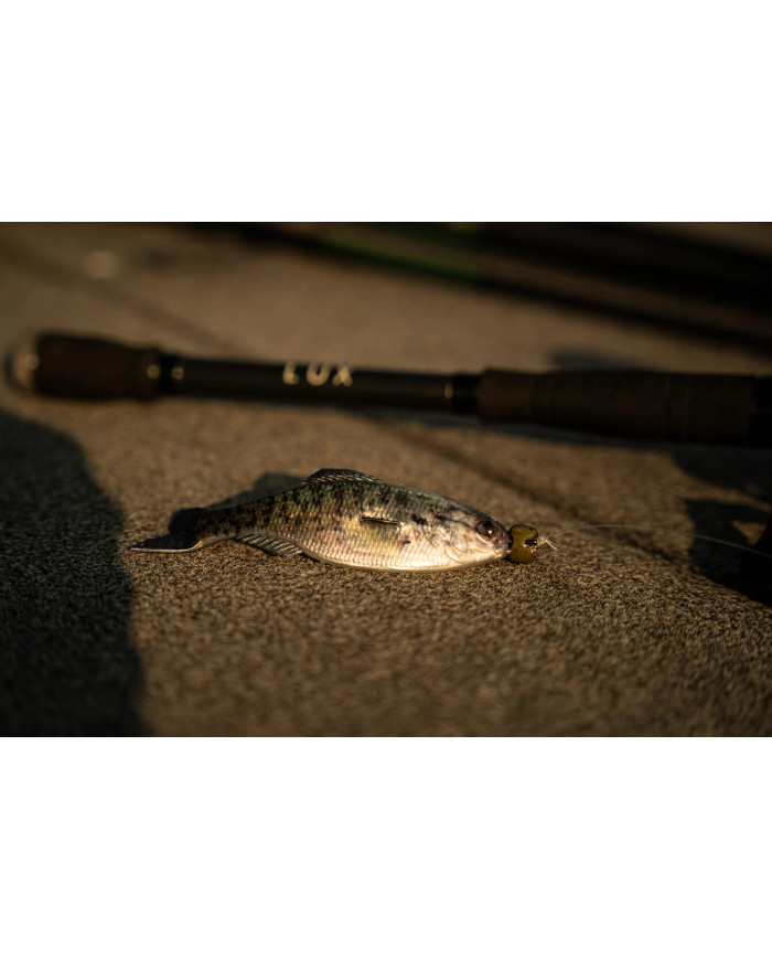 6th Sense Panorama – High-Definition Fishing Tool for Optimal Clarity 6th Sense Panorama – High-Definition Fishing Tool for Optimal Clarity