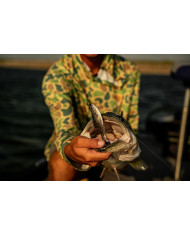 6th Sense Panorama – High-Definition Fishing Tool for Optimal Clarity 6th Sense Panorama – High-Definition Fishing Tool for Optimal Clarity