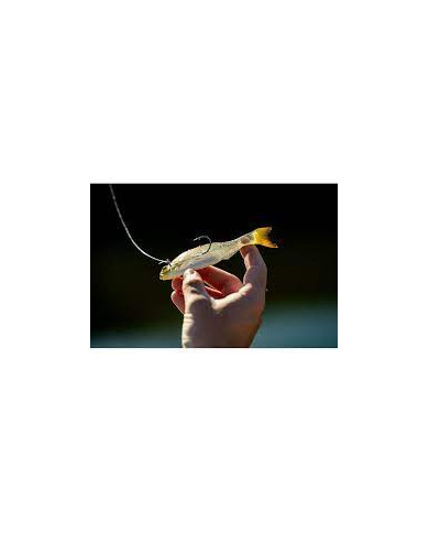 6th Sense Panorama – High-Definition Fishing Tool for Optimal Clarity 6th Sense Panorama – High-Definition Fishing Tool for Optimal Clarity