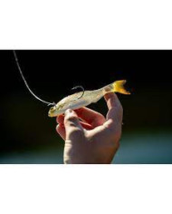 6th Sense Panorama – High-Definition Fishing Tool for Optimal Clarity