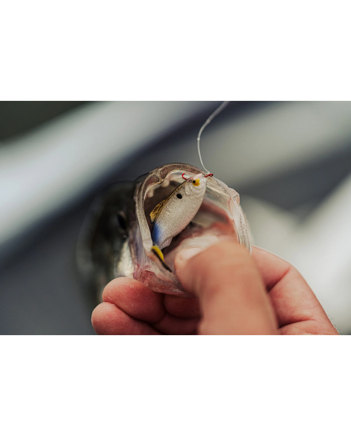 6th Sense Panorama – High-Definition Fishing Tool for Optimal Clarity 6th Sense Panorama – High-Definition Fishing Tool for Optimal Clarity