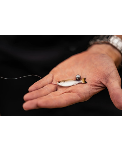 6th Sense Panorama – High-Definition Fishing Tool for Optimal Clarity 6th Sense Panorama – High-Definition Fishing Tool for Optimal Clarity