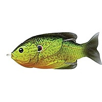 Hollow Body Lures