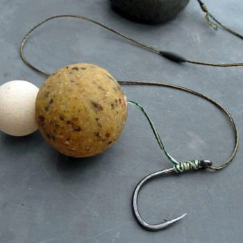 Specimen Fishing