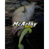 MCARTHY